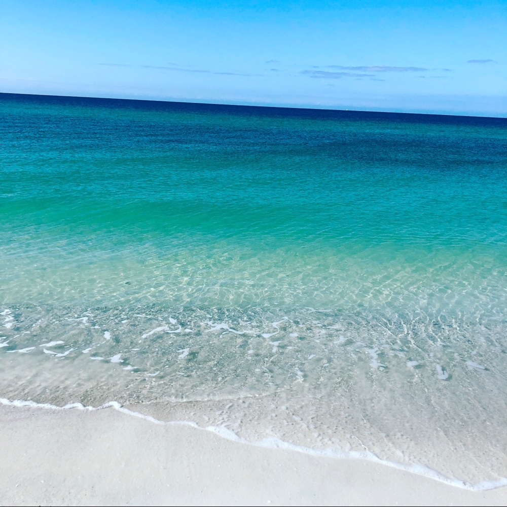 Meet your Posher, Evelyn